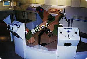 interactive aircraft flight system