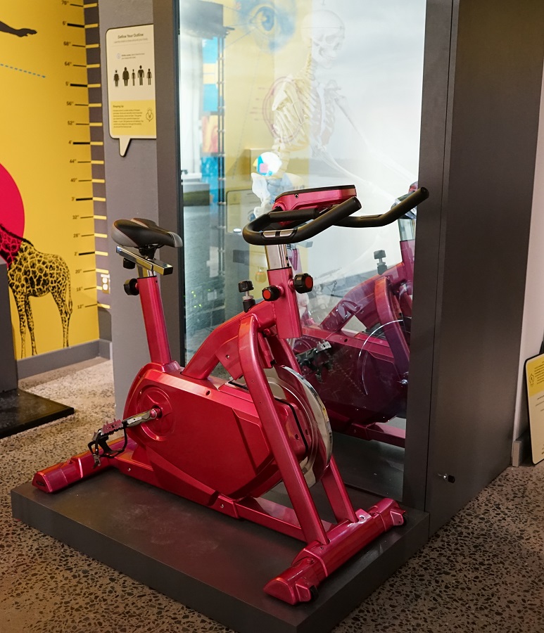 pedalling skeleton bicycle
